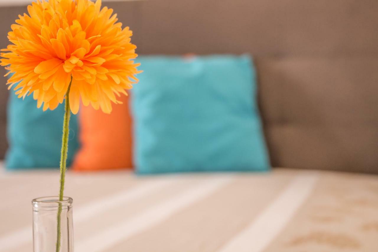 أولبيا Maricciolu Suites And Apartments المظهر الخارجي الصورة